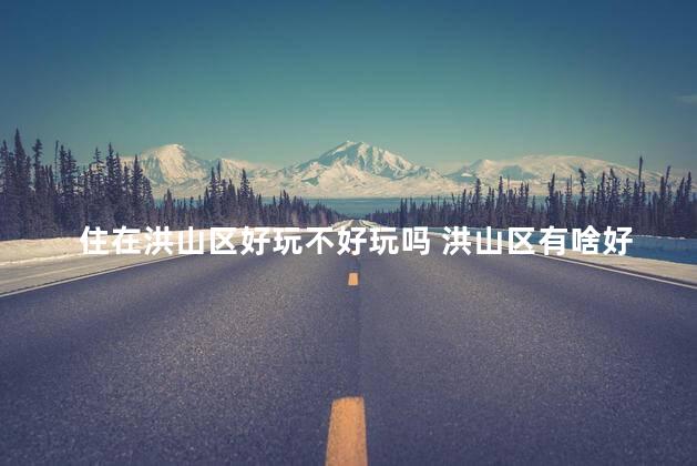 住在洪山区好玩不好玩吗 洪山区有啥好玩的